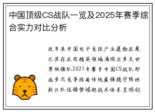 中国顶级CS战队一览及2025年赛季综合实力对比分析
